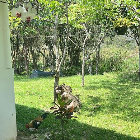 Morada Fenix Bed & Breakfast Guarda do Embau Exterior photo