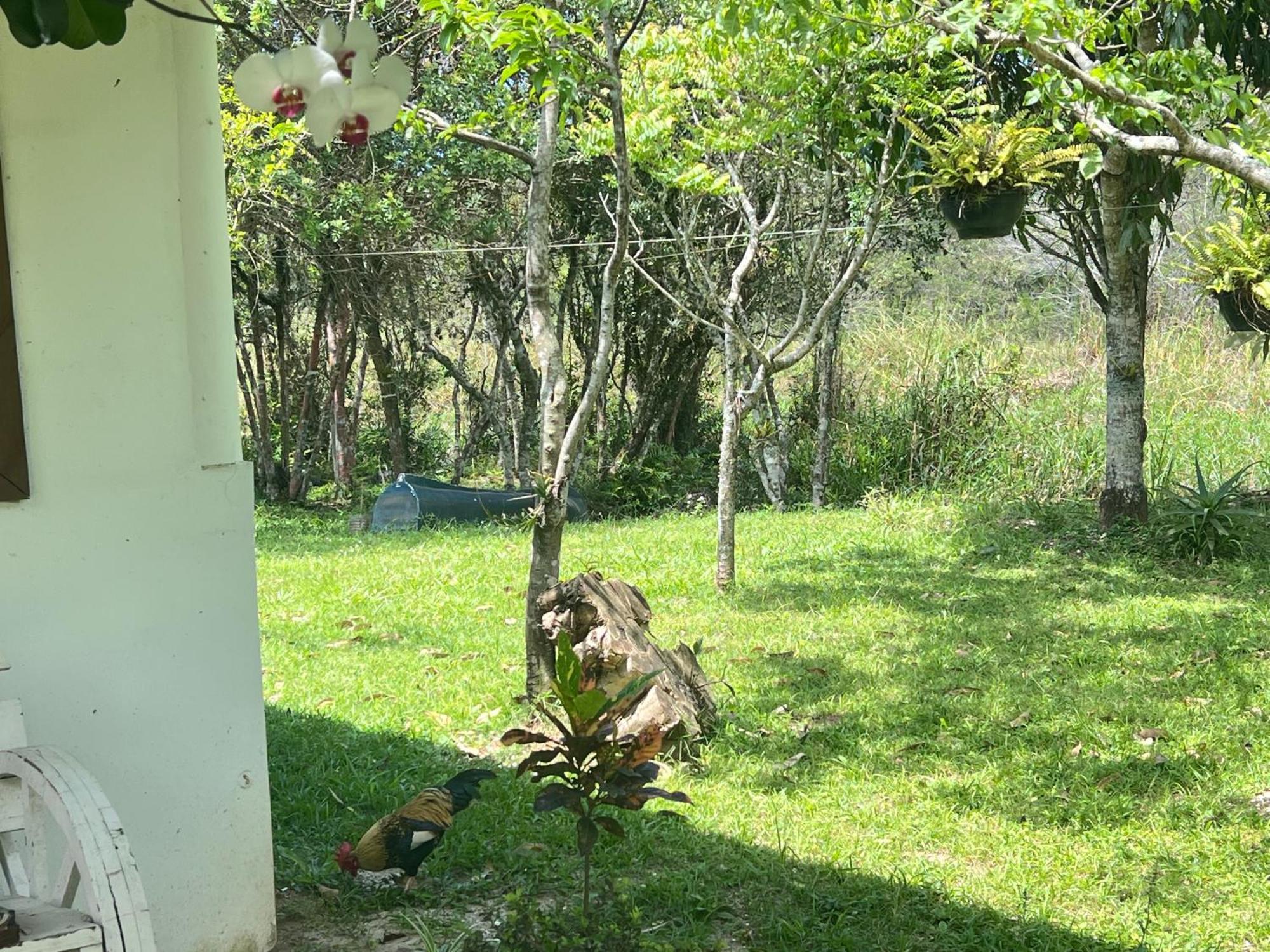 Morada Fenix Bed & Breakfast Guarda do Embau Exterior photo
