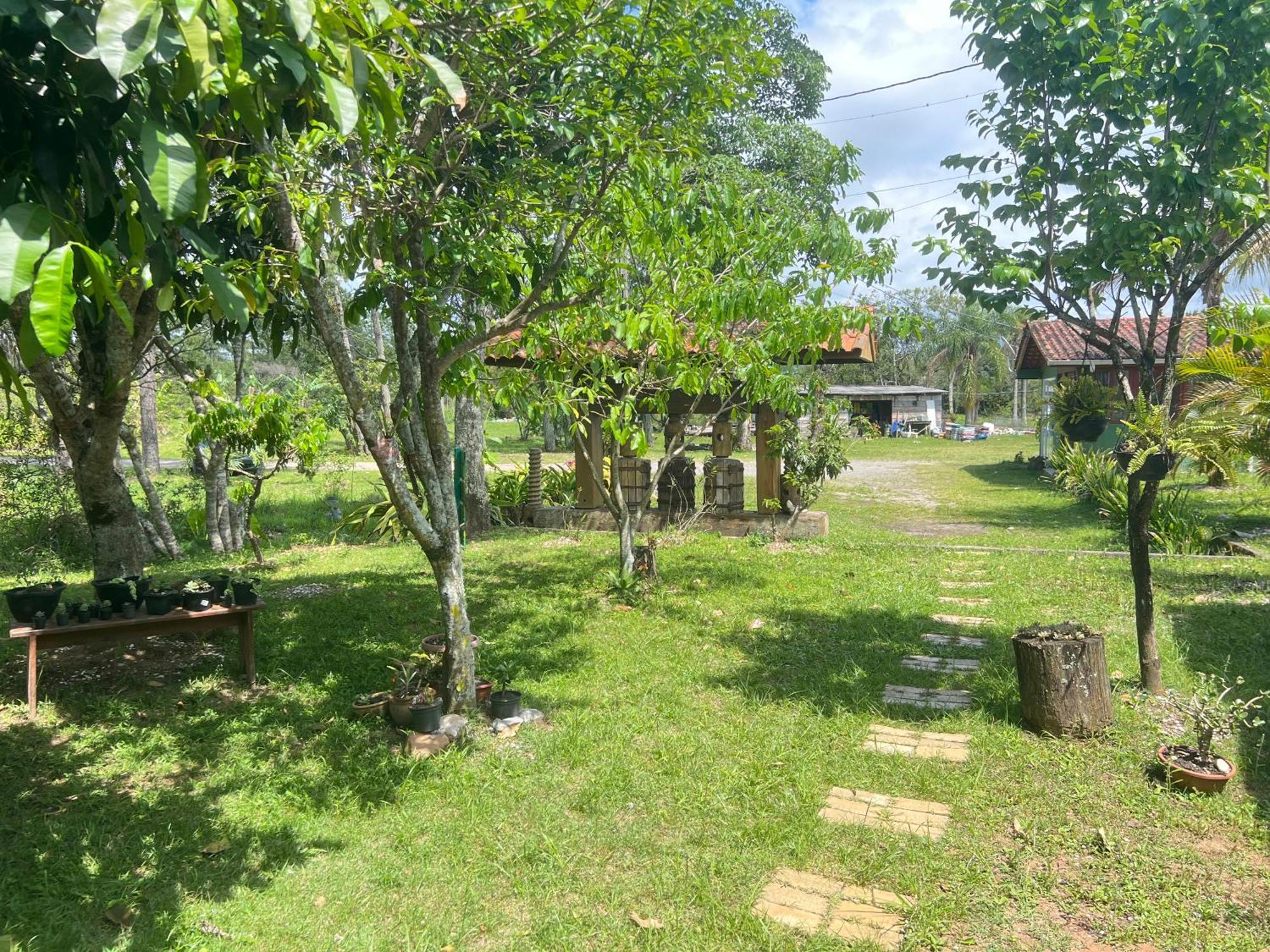 Morada Fenix Bed & Breakfast Guarda do Embau Exterior photo